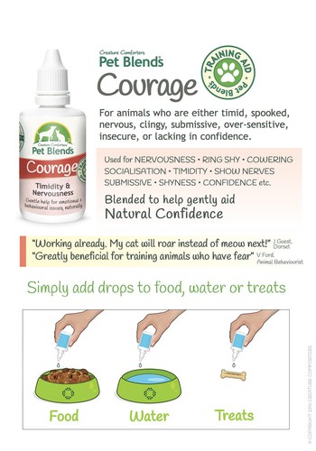 Natural Pet Remedy NERVOUS TIMID INSECURE CONFIDENCE Dog Cat Horse Courage Blend - Picture 4 of 18
