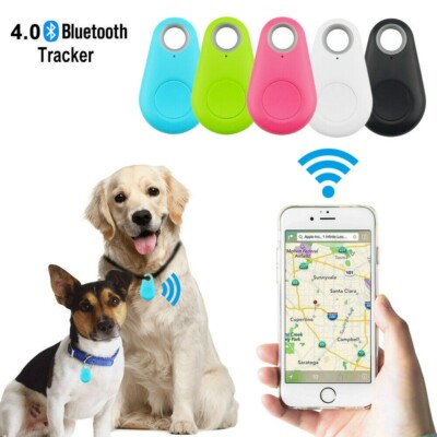 pet tracker tag