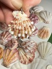 New! Natural Folded Scallops Pre Drilled Holes DIY Jewelry Making Crafting Lot — photo 3