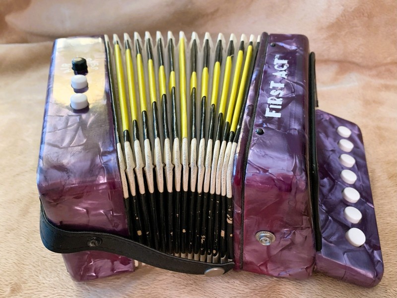 First Act Toy ACCORDION pearlized purple Child Youth  - Works