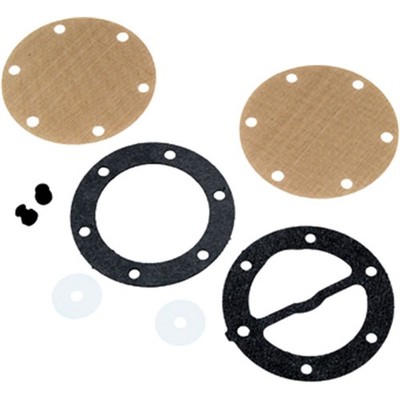 Vertex Fuel Pump Repair Kit Dual 451453