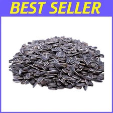 Top 11 Food Allergen-Free Sunflower Seeds - 4 LBS
