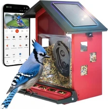 Smart Bird Feeder With Camera Solar Powered Solar Roof - New