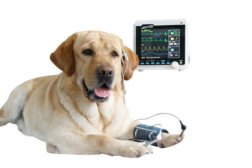 Veterinary Vital Signs Patient Monitor CO2 Monitoring 6 Parameters With ETCO2 - Picture 2 of 12