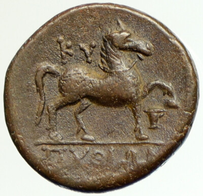 KYME in AEOLIS 250BC Amazon KYME Horse Vase Authentic Ancient