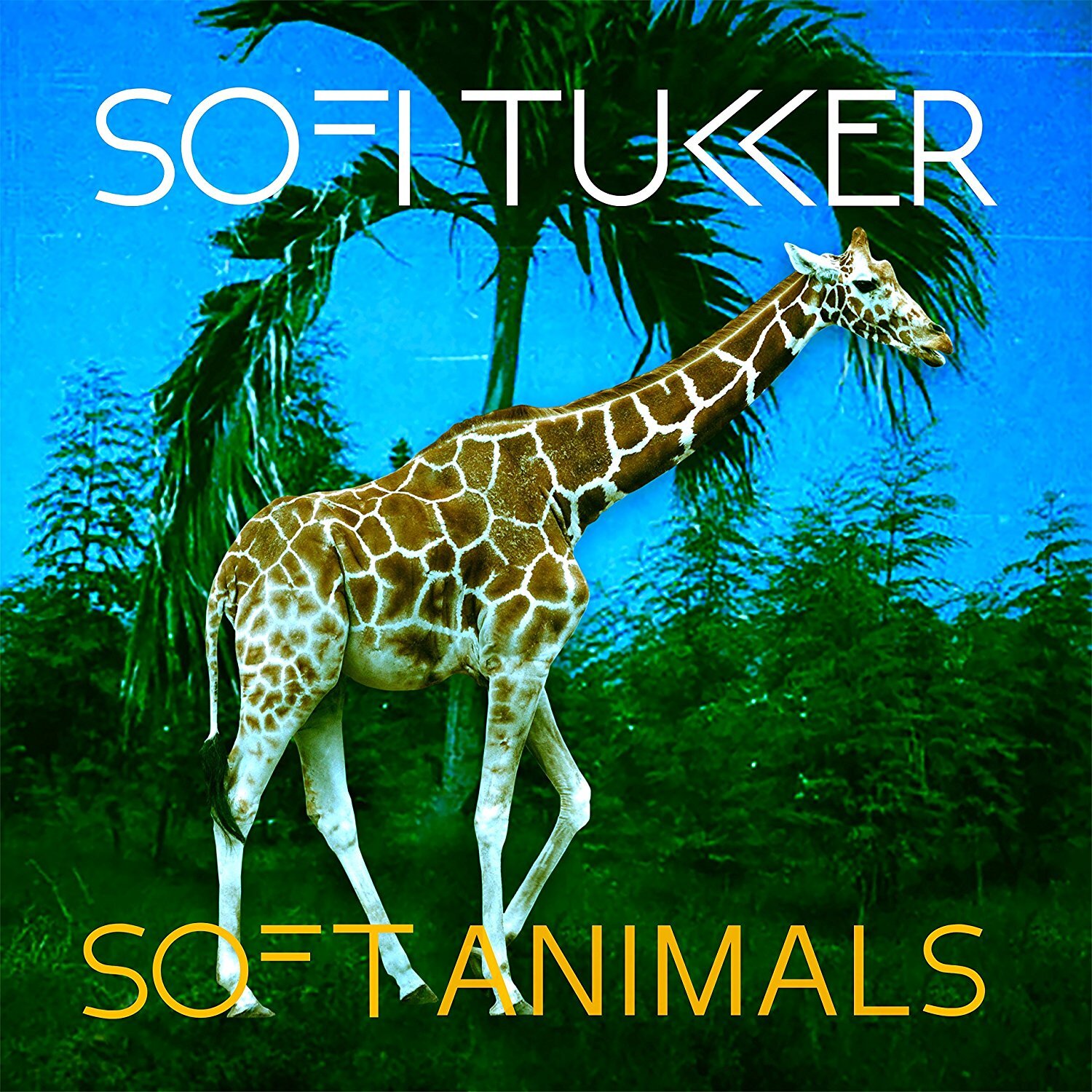Vinile Sofi Tukker - Soft Animals (12")