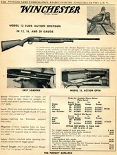 1956 Print Ad of Winchester Model 12 Field Gun Shotgun