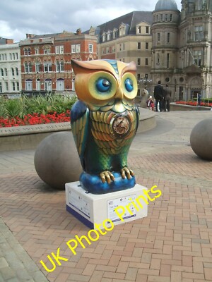 Photo 6x4 Tick-Tock Owl [55] Lee Bank  c2015