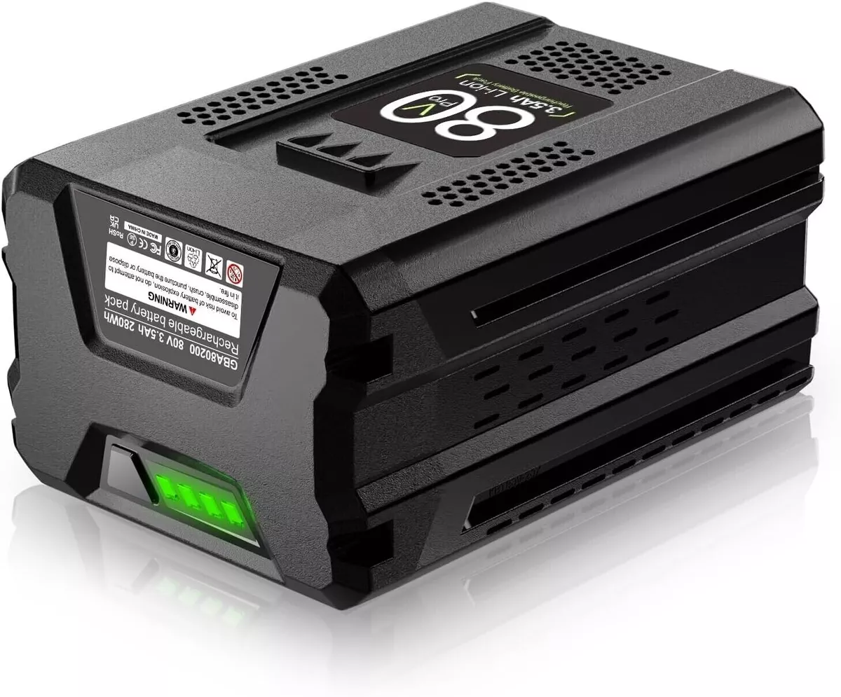 Greenworks bl80l00 deals