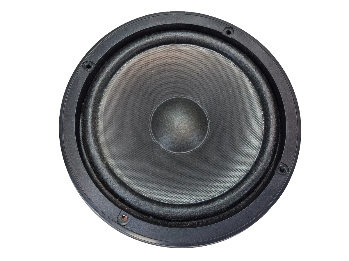 Ev Bass Matttroy