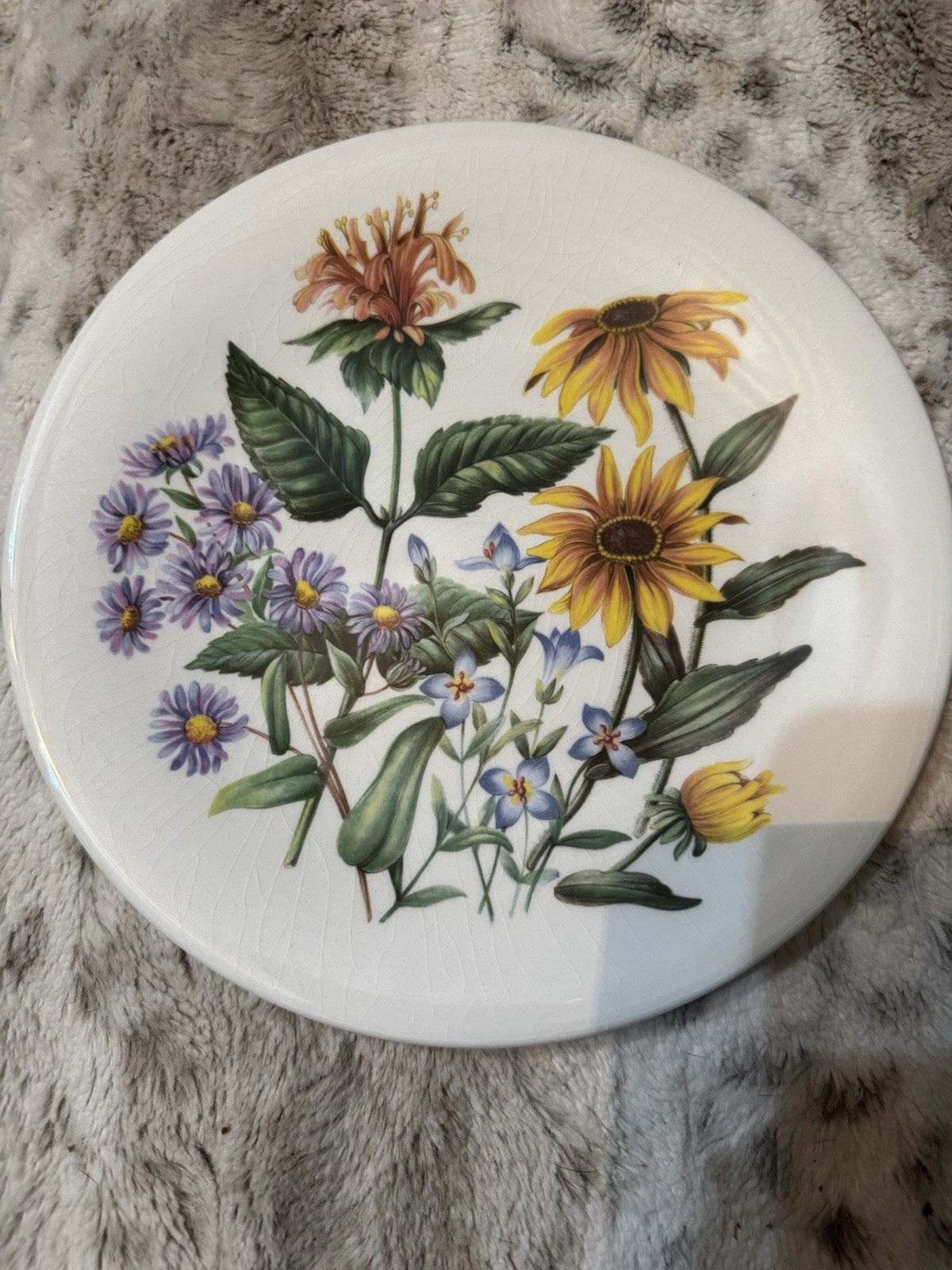 Wild Eastern US Flowers Plate Aster Bee Balm Blackeyed Susan Native Plants