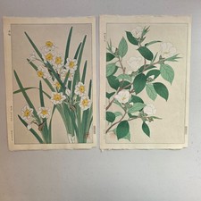 Two Shodo Kawarazaki First Edition Japanese Woodblock Prints Camellia & Narcissu