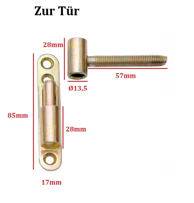 Türbänder 12/13,5 Mm Zum Einbohren – Aus Stahl, Verzinkt, Goldfarben, Für Türen & Fenster