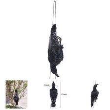 Realistic Hanging Dead Crows Decoy Lifesize Extra Large Black Feathered Outdoor