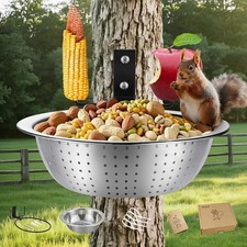 Squirrel Feeder Bowl Tree Mounted, Drainage Holes Like a Colander - Nice for ...