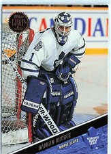 1993-94 Leaf #367 Damian Rhodes Toronto Maple Leafs