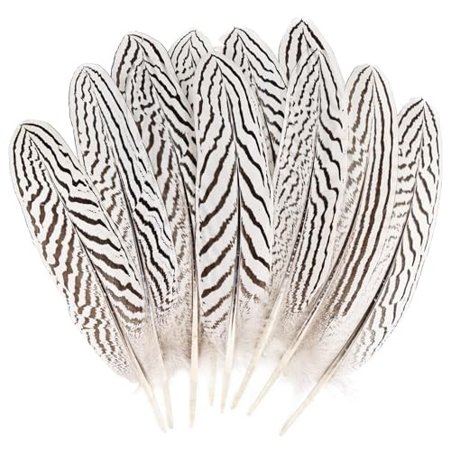 12Pcs Silver Pheasant Feathers Bulk Natural Spotted Feathers Pheasant Feather