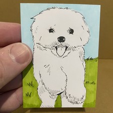 ACEO original Drawing White Dog Running in Green Field ACEOs by ashswalker