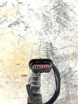 SONDA LAMBDA PER MOTO GUZZI BREVA 750 IE DEL 2010 (e42168) - Imagen 2 de 2
