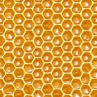 Fat Quarter - The Bees Knees: Honeycomb Cotton Fabric