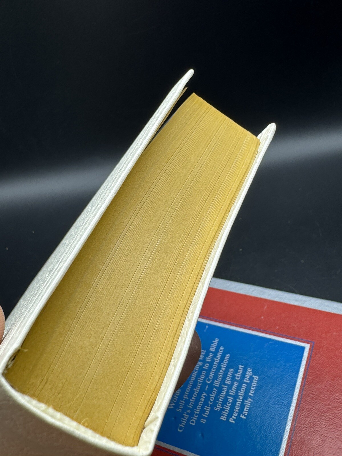 Foto 7 di 8