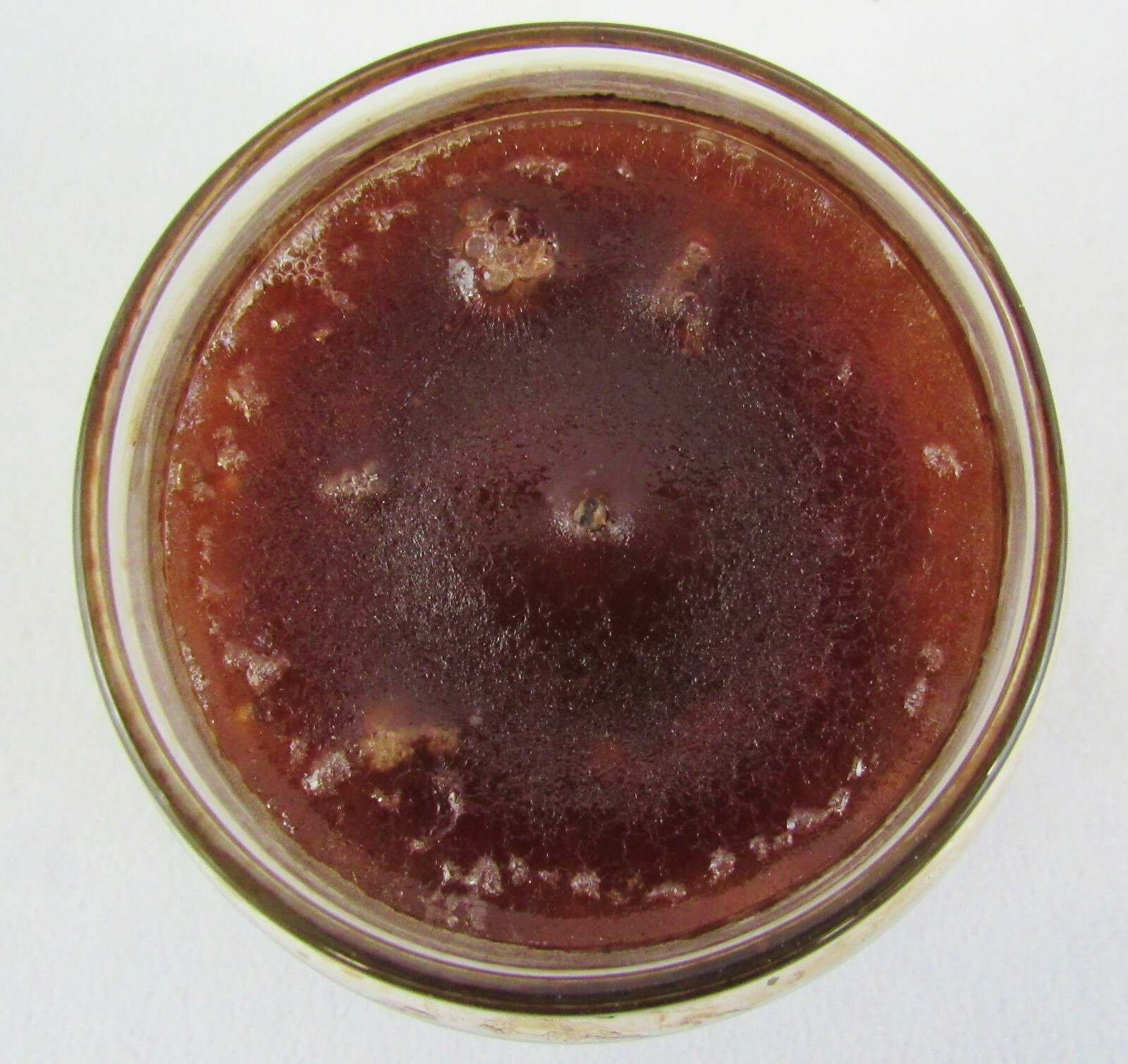 New Yankee Vanilla Caramel Candle Housewarmer Jar Candle 14.5 oz Black