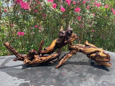 DRIFTWOOD MOPANI AQUARIUMS FISH REPTILES DECOR PET SUPPLIES GARDEN AQUASCAPING