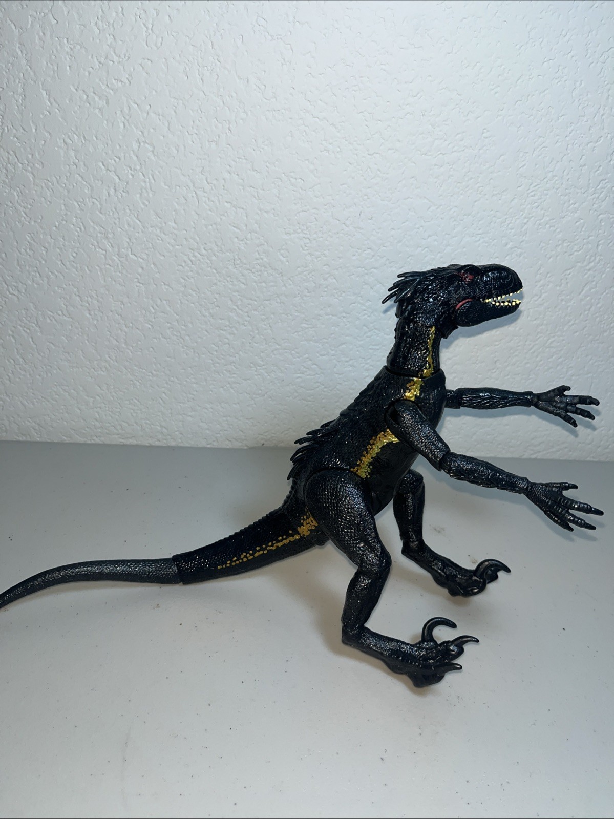 Picture 5 of 17