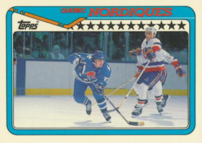 1990-91 Topps Tiffany #122 QUEBEC NORDIQUES - Team Card