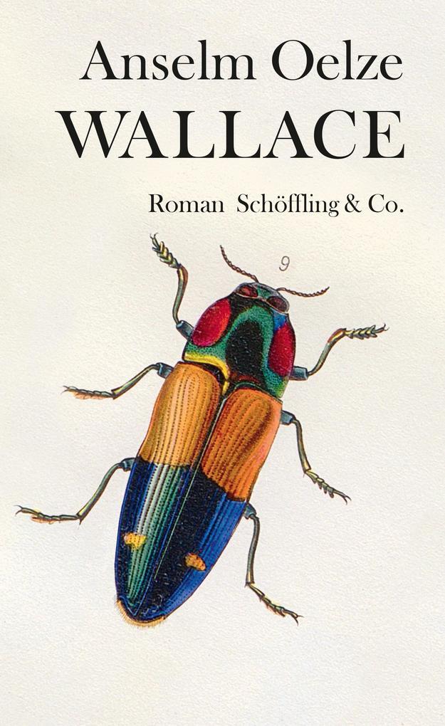 Thumbnail - Wallace | Anselm Oelze | 2019 | Deutsch