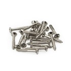 <!--F#f_0-->20pcs Electric Guitar Humbucker Pickup Frame Mounting Pickup Frame Fixing Screw<!--F/-->