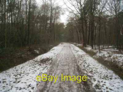 Foto 6x4 Trense zum Flottenteich Teichschwanz c2012