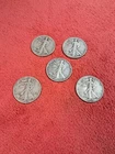 Walking Liberty half dollar lot of 5