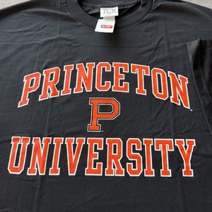 Maillot Baseball Vintage Princeton Tigers Sans Manches - Alleson Taille L - Gris