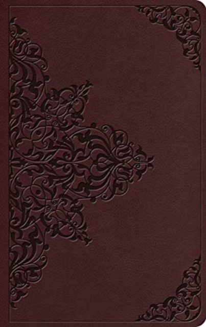 ESV Value Thinline Bible (Leather / fine binding)