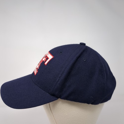 Sombrero Gemelos Snapback OSFA Toledo Gallinas de Barro Menores MiLB Profesional Béisbol Azul - Imagen 3 de 8