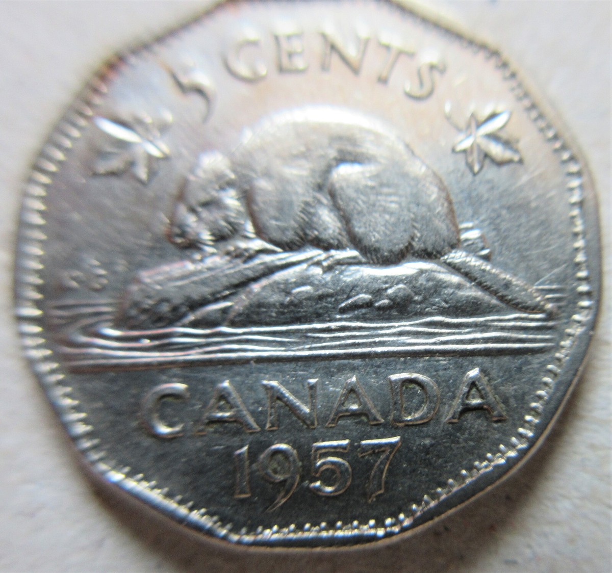 1957 Canada Five Cents Coin. Bug Tail Nickel (RJ) | eBay