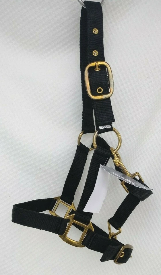 Catago Halfter Nylonhalfter 2fach verst.Fohlen Mini Shetty +Pony Fohlen schwarz - Bild 4 von 4