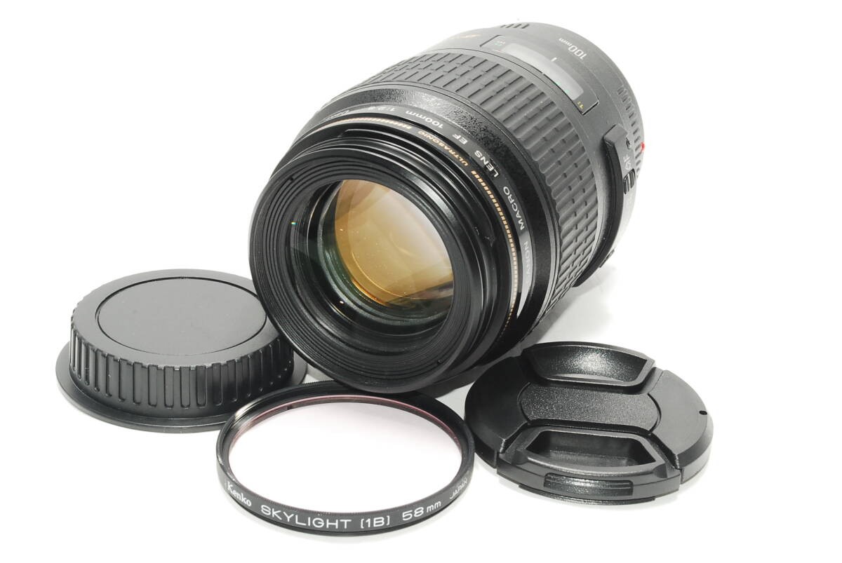 【S2081】 Canon EF MACRO 100 2.8 キャノン マクロ Amazon.com : Canon EF 100mm f/2.8L IS USM Macro Lens for