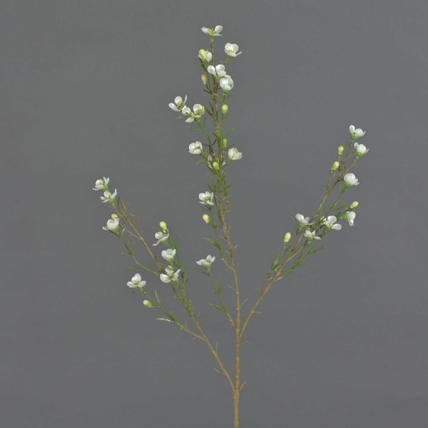 Artplants Deko Zweig Wachsblumen Zweig Niang, Creme, 80Cm, Ø 2-3Cm-image