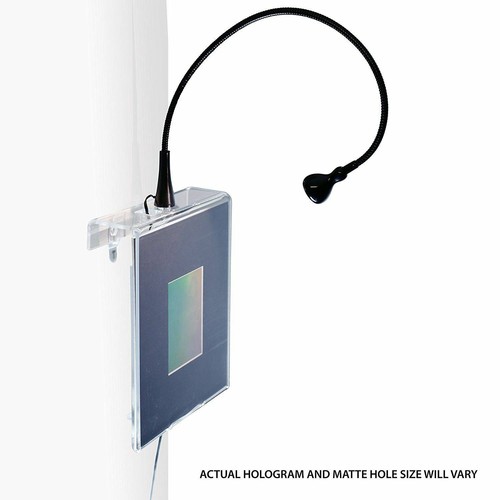 3D KORALLEN Hologramm Bild BELEUCHTET WANDANZEIGE, Silberhalogenid Typ Film - Bild 5 von 7