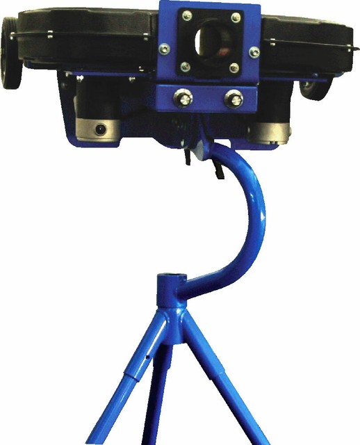 paceman limited edition