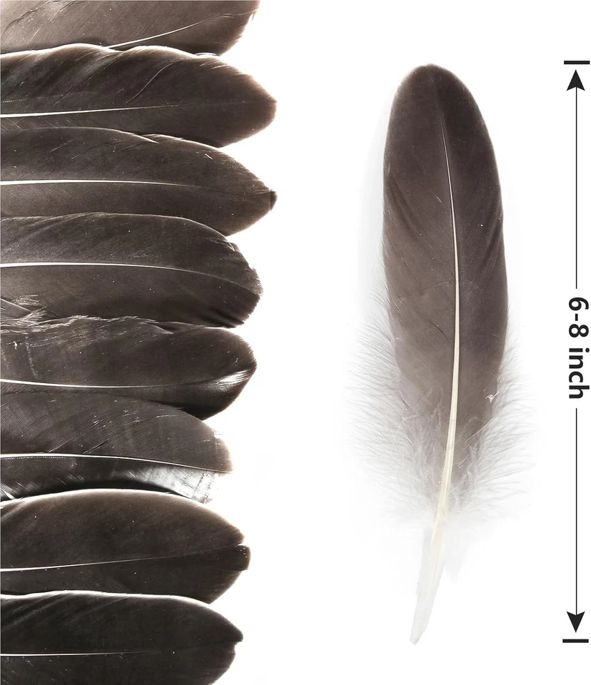 120pcs Natural Gray Natural Goose Feathers Natural Bulk 6-8 inch 15-20cm for Cra - Image 2 of 4