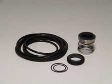 Goulds G&L SSH-S Rebuild Kit (1.250″)