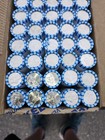 2025-P Box Of Uncirculated Jefferson Nickels. 50 Rolls.