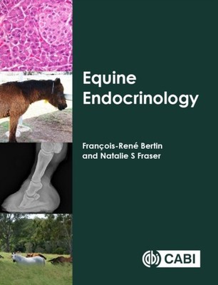 EQUINE ENDOCRINOLOGY by BERTIN FRANCOIS-REN Paperback Self Help Business
