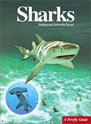 Sharks Paperback Andrea, Ferrari, Antonella Ferrari