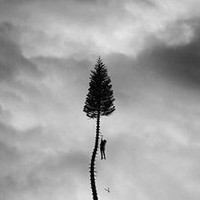 A Black Mile To The Surface Von Manchester Orchestra | CD | Zustand Neu