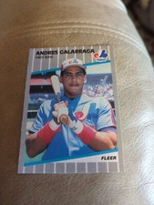 1989 Fleer Andres Galarraga #376 - Montreal Expos