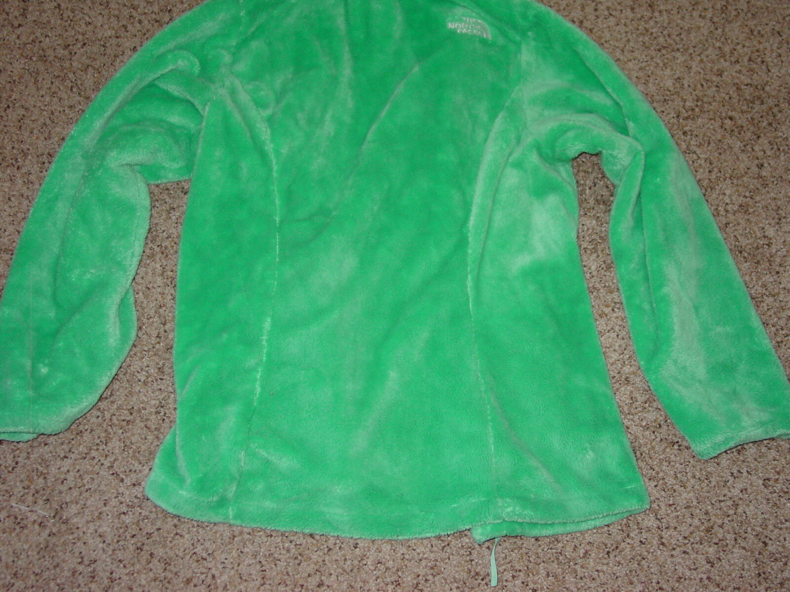 Picture 12 of 12